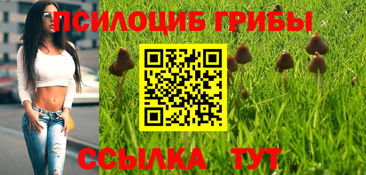Искитим  Псилоцибиновые грибы Psilocybe  Галлюциногенные грибы прущие грибы  Вход с VPN 